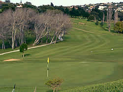 Cape Town Gold Clubs