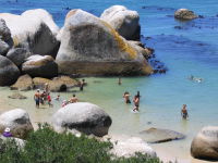 South African Tourist destinations, Cape Town Tourist attractions and destinations, Boulders Beach