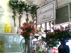 Rosemary Florist in Sea Point, Western Cape