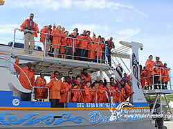 Dyer Island Cruises whale watching