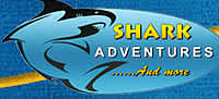 Shark Adventures, diving in Cape Town, Gansbaai
