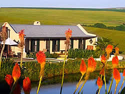 Rondekuil : Durbanville self catering accommodation and B&B at its best