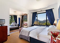 Dreamhouse Guest House is a calm oasis from which to enjoy your stay in Cape Town. 