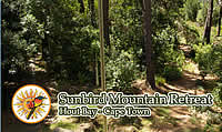 Sunbird Mountain Retreat Lodge in Hout Bay