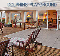 Dolphins Playground Beachfront B & B 