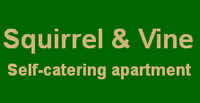 Squirrel & Vine self catering accommodation in Stellenbosch
