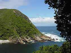 Tsitsikamma Information and Facts, Cape Garden Route