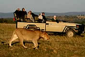 Game Reserves Nature Reserves and Game lodges in the Cape South Africa - Lalibela Game Reserve