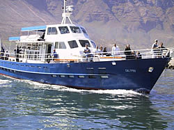Circe Launches boat trip to seal island