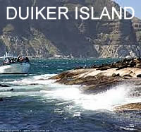 Duiker Island