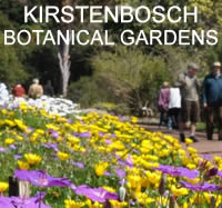 Kirstenvosch Botanical Gardens