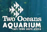 Two Oceans Aquarium Cape Town South Africa, Cape Town Aquarium