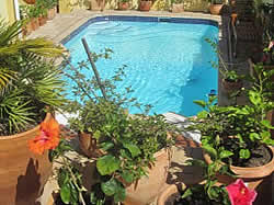 Loloho Lodge in Sea Point is situated in Sea Point close to the beachfront